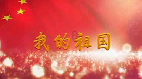上海女排获决赛开门红