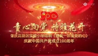沙皮狗逃离