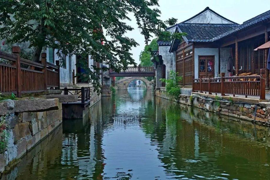 救援鹦鹉
