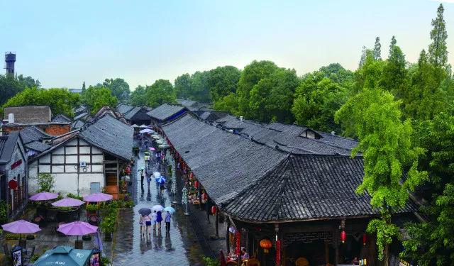 院士专家共话汽车轻量化 加速重庆市“33618”现代制造业集群体系建设