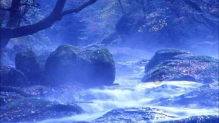 梦幻西游电脑版